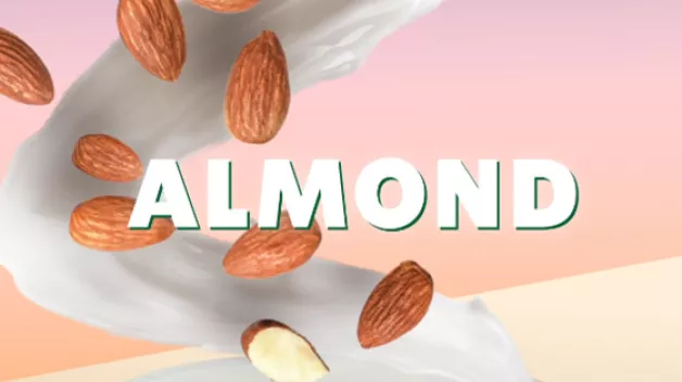 SBX_DAIRY-FREE_ALMOND_560x321.jpg