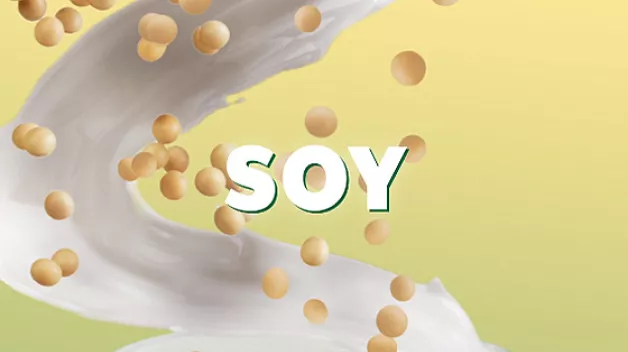 SBX_DAIRY-FREE_SOY_560x321.jpg