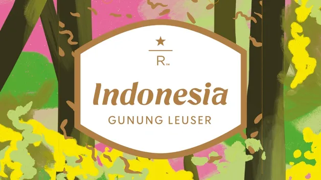 nahled obalu zrnkove kavy INDONESIA Gunung Leuser