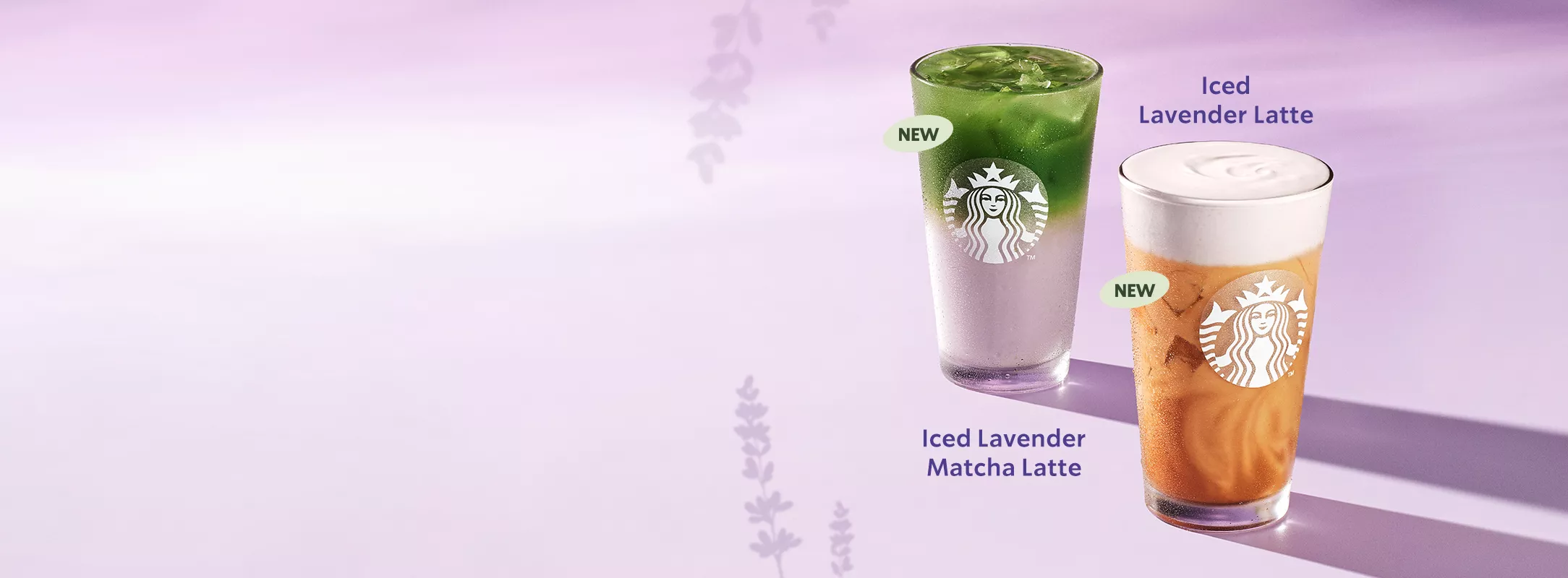 spring 2025 homepage banner hero